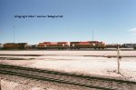 ARR 3946